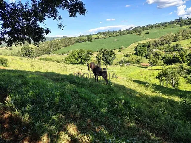 Chácara 2 quartos e 1 banheiro, à venda, no bairro Pantano em Muzambinho