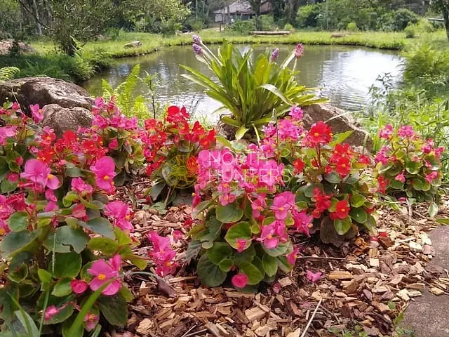 Chácara com 150m² 2 quartos e 2 banheiros, à venda, no bairro vila nova em Joinville