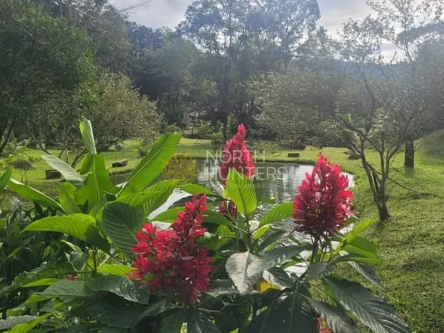Chácara com 150m² 2 quartos e 2 banheiros, à venda, no bairro vila nova em Joinville
