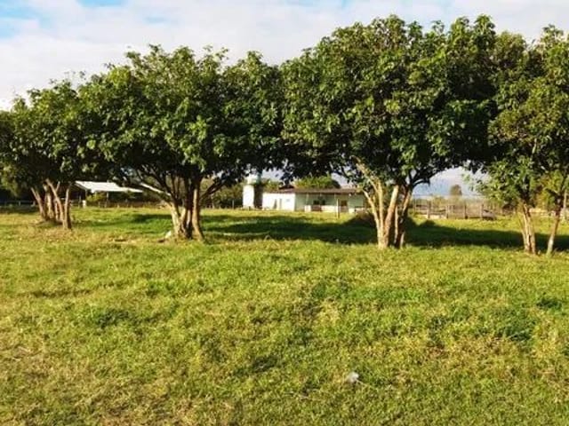 Chácara com 94373m², à venda, no bairro Aterrado em Tremembé