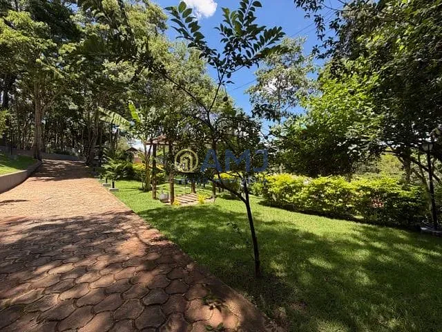 Sítio, 4 quartos, 3424 m² - Foto 33