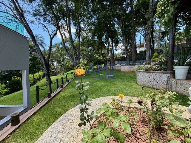 Sítio, 4 quartos, 3424 m² - Foto 27