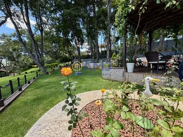 Sítio, 4 quartos, 3424 m² - Foto 26