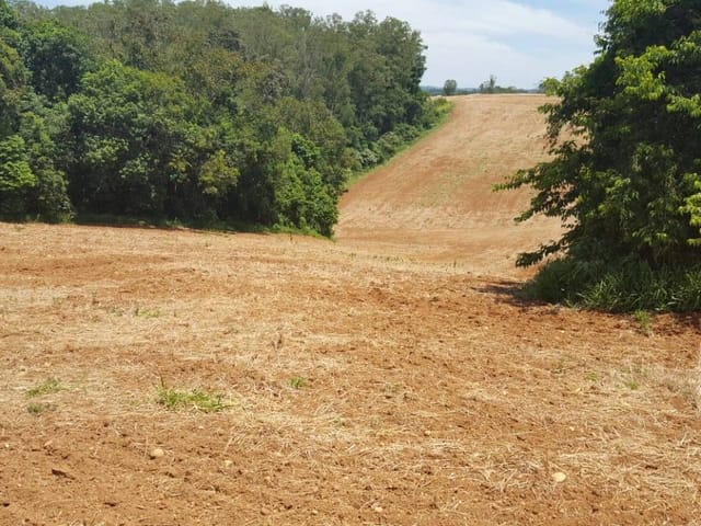 Foto do Chácara - Chácara 24.200 m² de área, à venda no Bairro São Caetano no município de Arroio do Meio/RS | Executivo Imóveis
