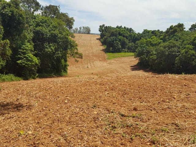 Foto do Chácara - Chácara 24.200 m² de área, à venda no Bairro São Caetano no município de Arroio do Meio/RS | Executivo Imóveis