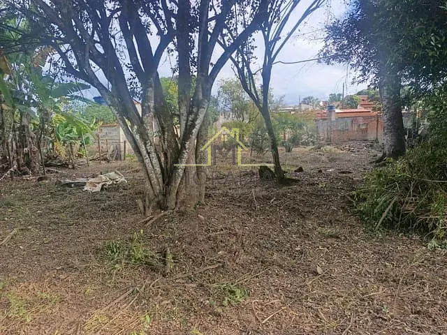 Chácara com 1840m² 4 quartos e 1 banheiro, à venda, no bairro Chácara California em Guaxupé