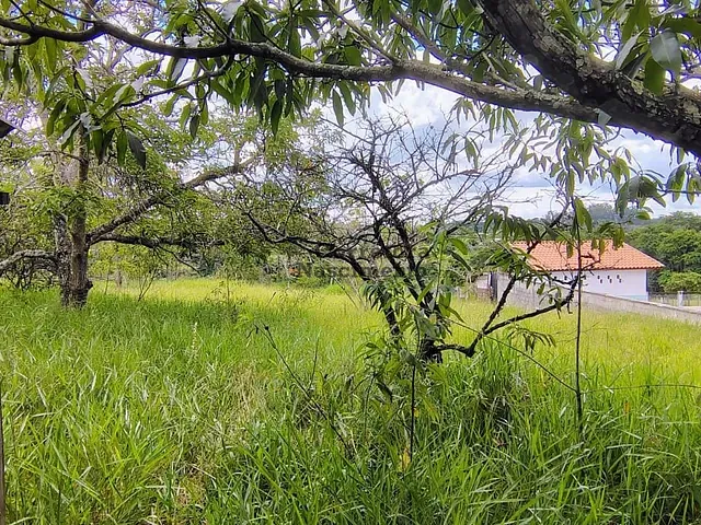 Chácara com 10000m², à venda, no bairro Jardim Nova Esperança em Jacareí