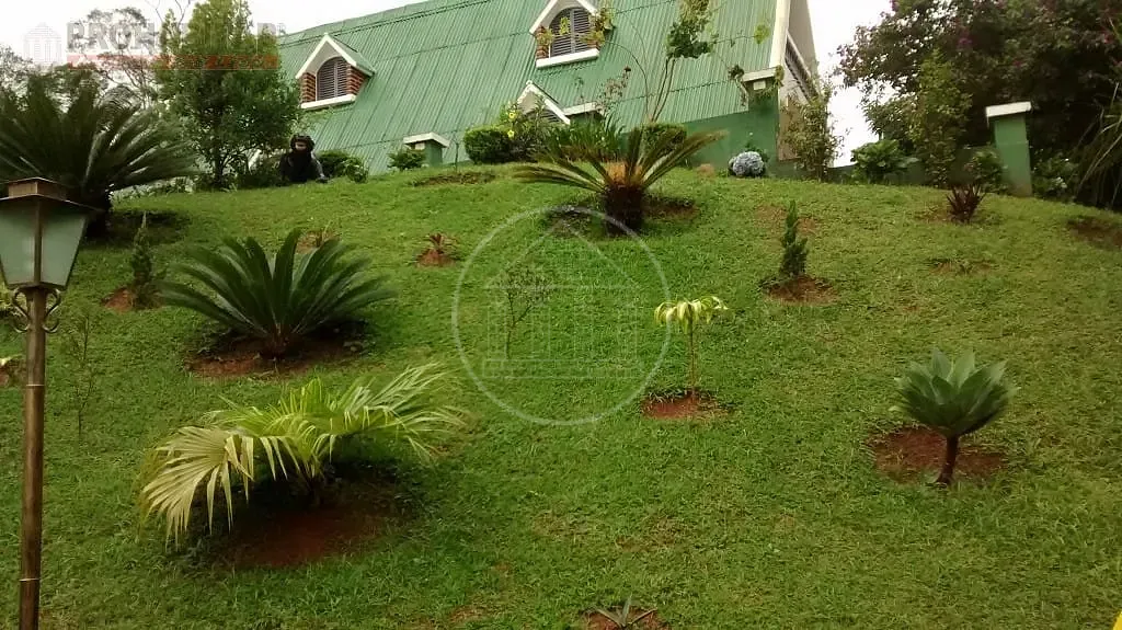 Sítio, 2 quartos, 4000 m² - Foto 58