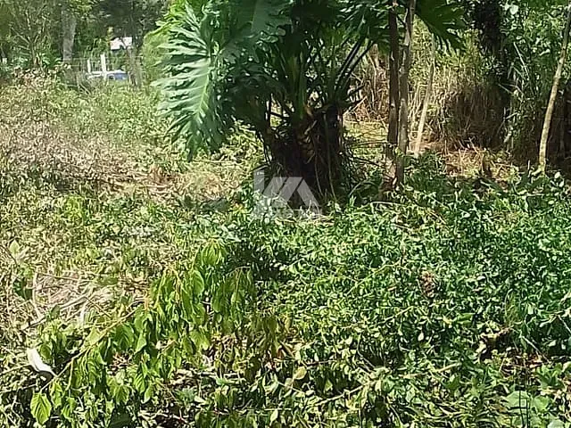 Chácara com 6000m² 2 quartos e 1 banheiro, à venda, no bairro prudentópolis em Prudentópolis