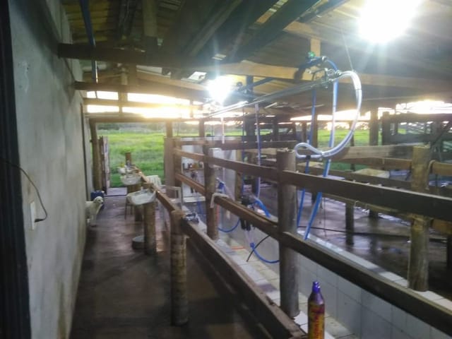 Foto do Chácara - Sitio à venda, ZONA RUAL, Doverlândia, GO | M360 Imóveis