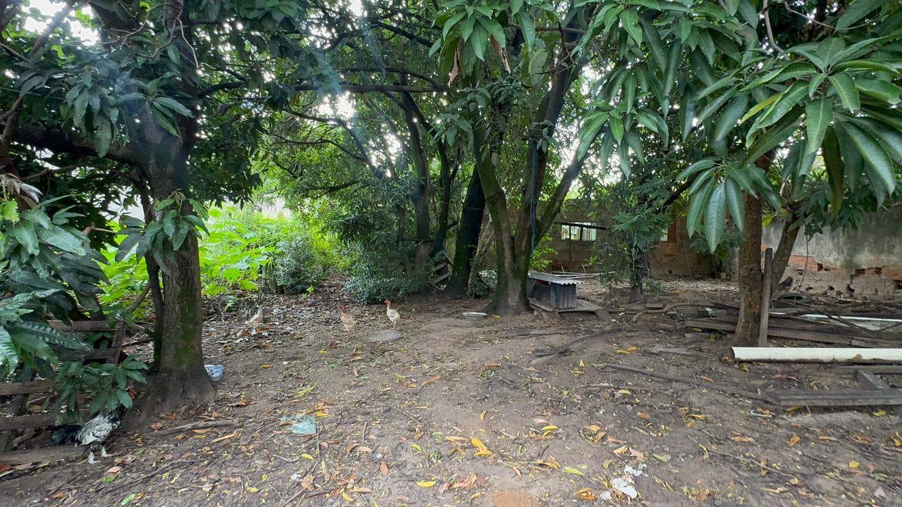 Chácara, 2 quartos, 1000 m² - Foto 8