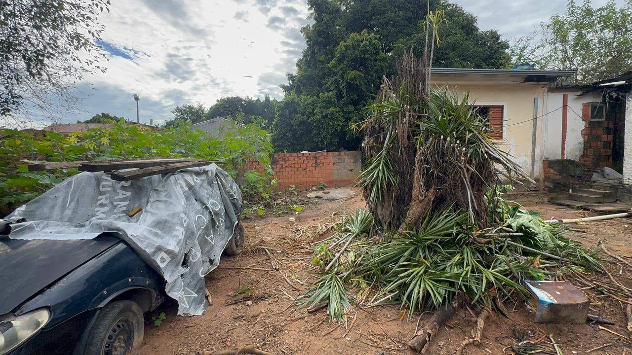 Chácara, 2 quartos, 1000 m² - Foto 10