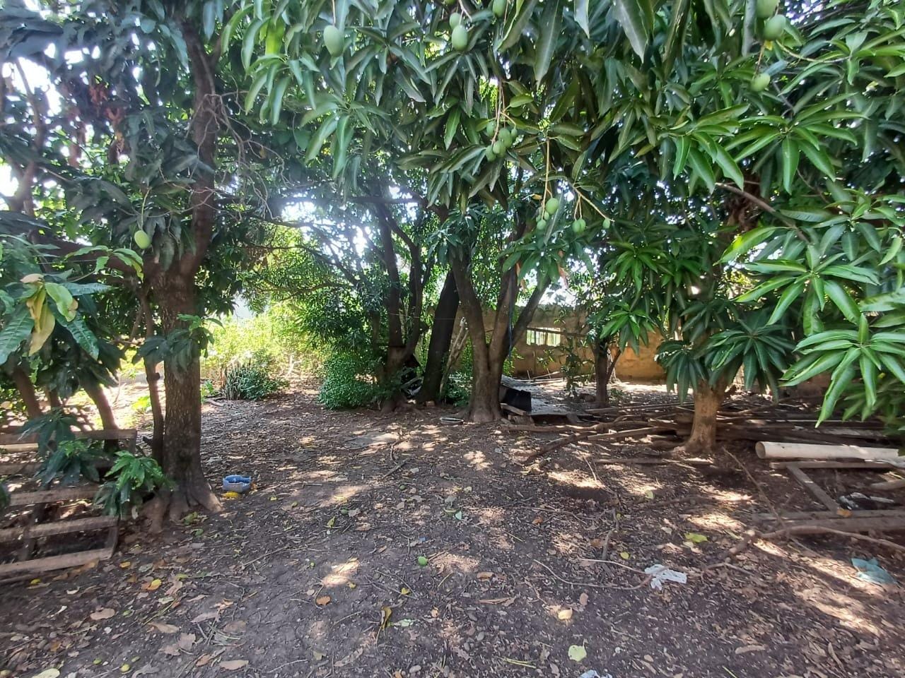 Chácara, 2 quartos, 1000 m² - Foto 16