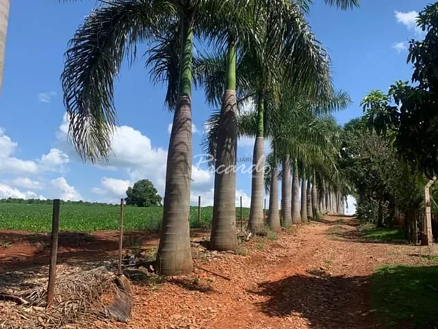 Chácara à venda, no bairro Área Rural de Arapongas em Arapongas
