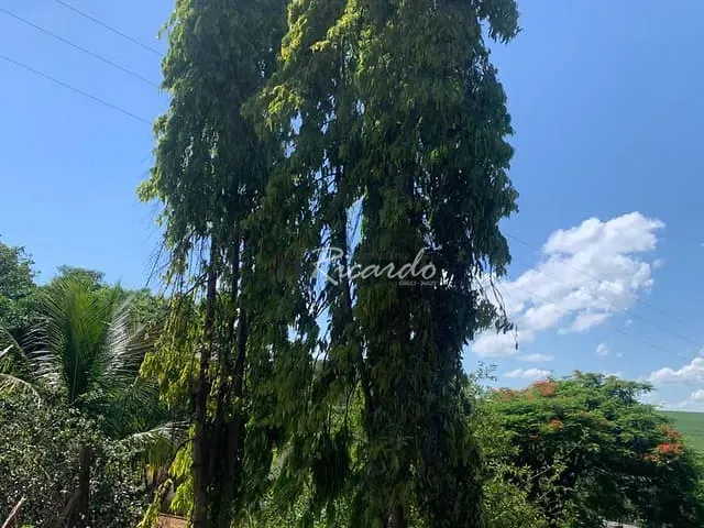 Chácara à venda, no bairro Área Rural de Arapongas em Arapongas