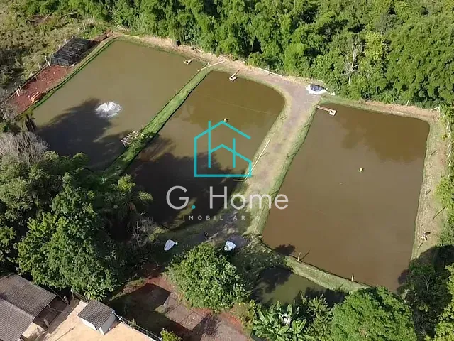Chácara com 15000m² 3 quartos e 1 banheiro, à venda, no bairro Recanto Rancho Ringo em Cambé