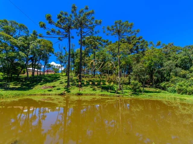 Foto do Chácara - Quatro Barras - Chácara 15.000m², Vista Serra do Mar, Piscina Aquecida, 35 km Terminal do Cabral/ Curitiba, à venda, PR | Imobiliária GreenVille