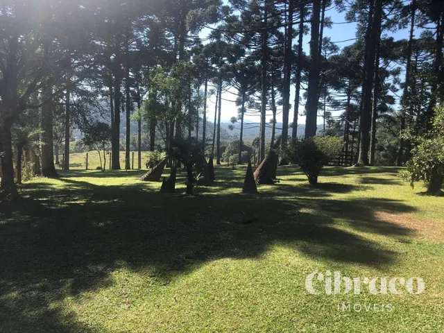Chácara com 129486m² 4 quartos e 3 banheiros, à venda, no bairro Colônia Muricy em São José Dos Pinhais