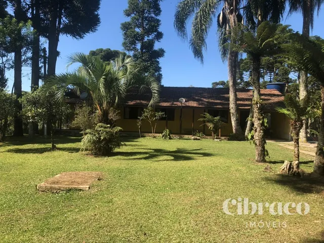 Chácara com 129486m² 4 quartos e 3 banheiros, à venda, no bairro Colônia Muricy em São José Dos Pinhais