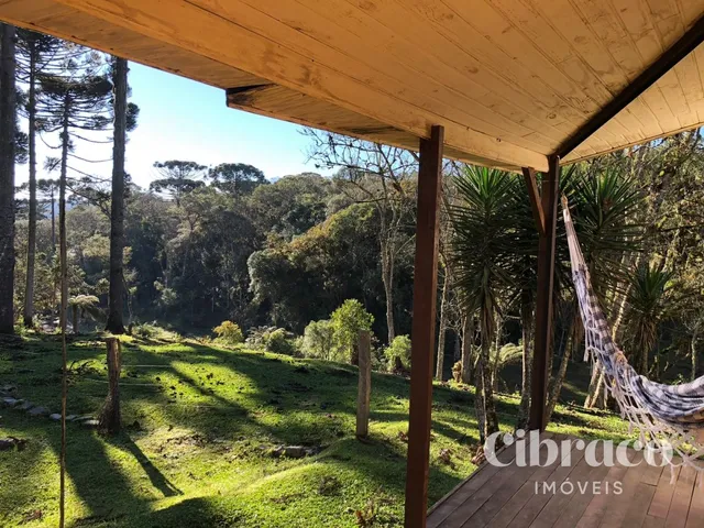 Chácara com 129486m² 4 quartos e 3 banheiros, à venda, no bairro Colônia Muricy em São José Dos Pinhais