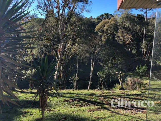 Sítio com 129486m² 4 quartos e 3 banheiros, à venda, no bairro Colônia Muricy em São José Dos Pinhais