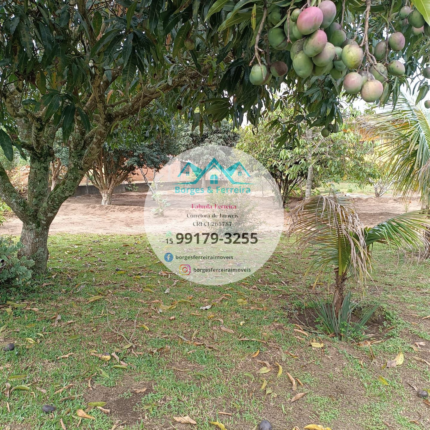 Chácara à venda com 4 quartos, 1500m² - Foto 42