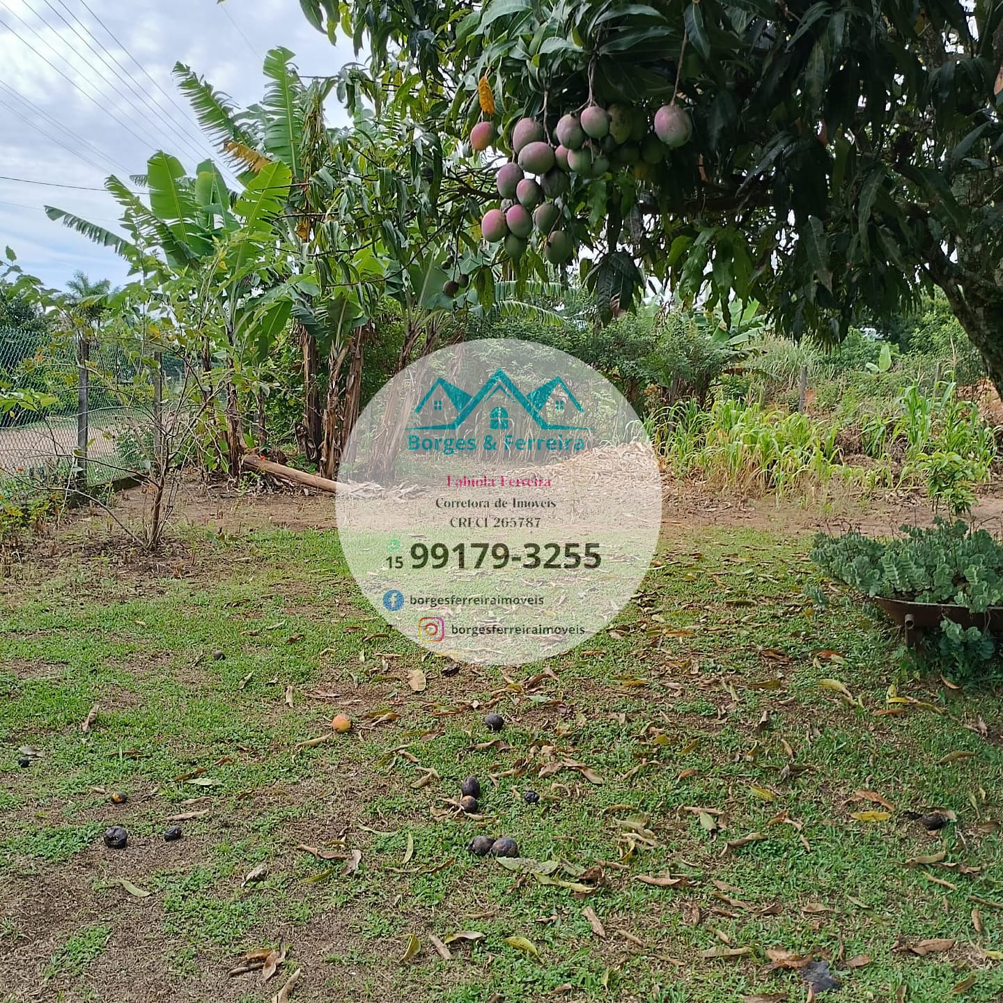 Chácara à venda com 4 quartos, 1500m² - Foto 40
