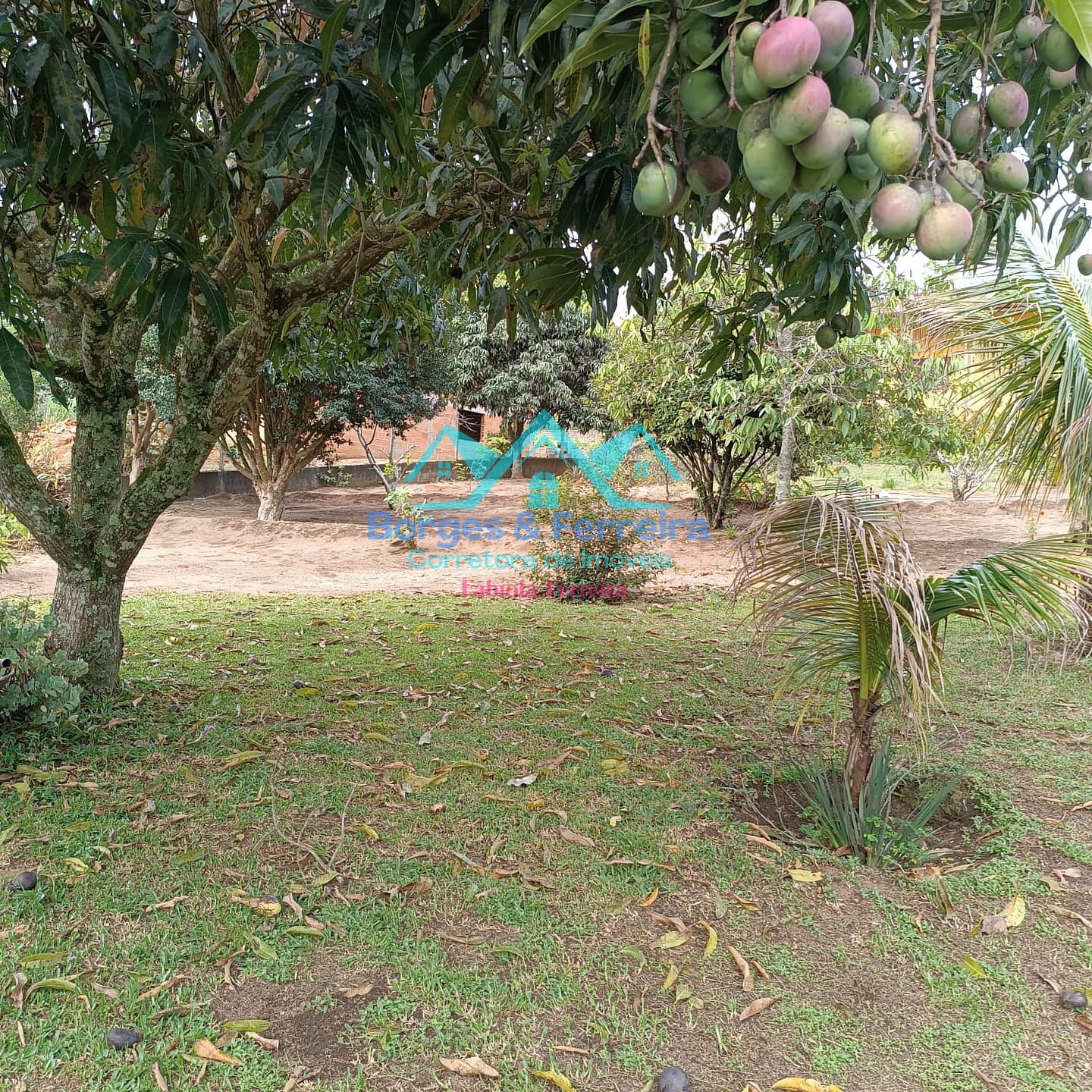 Chácara, 4 quartos, 1500 m² - Foto 42