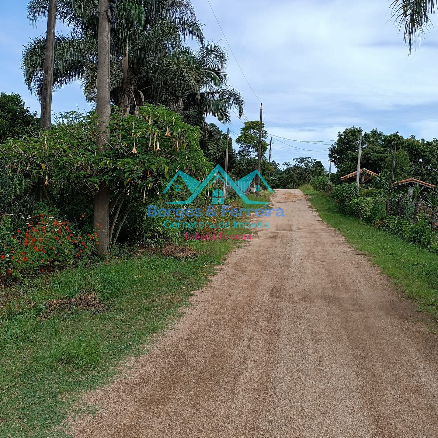 Chácara, 4 quartos, 1500 m² - Foto 45