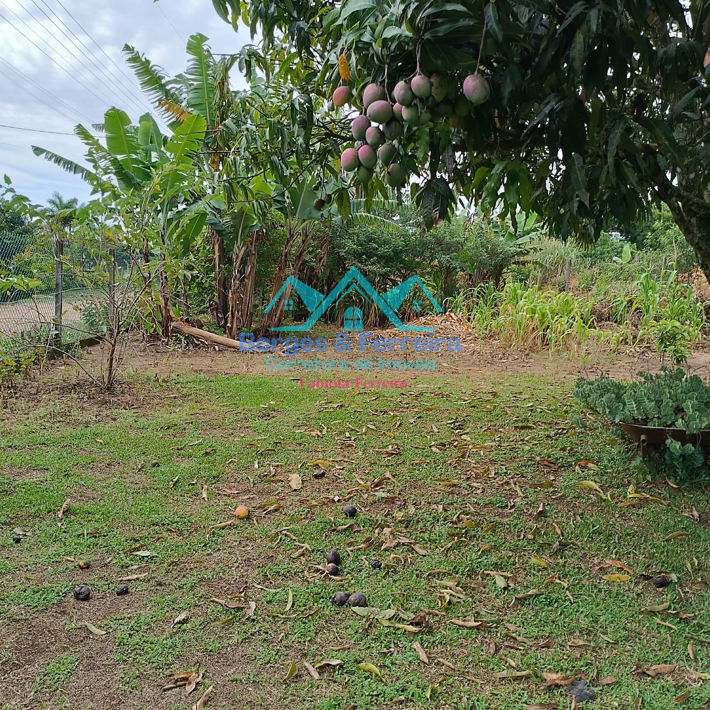 Chácara, 4 quartos, 1500 m² - Foto 40