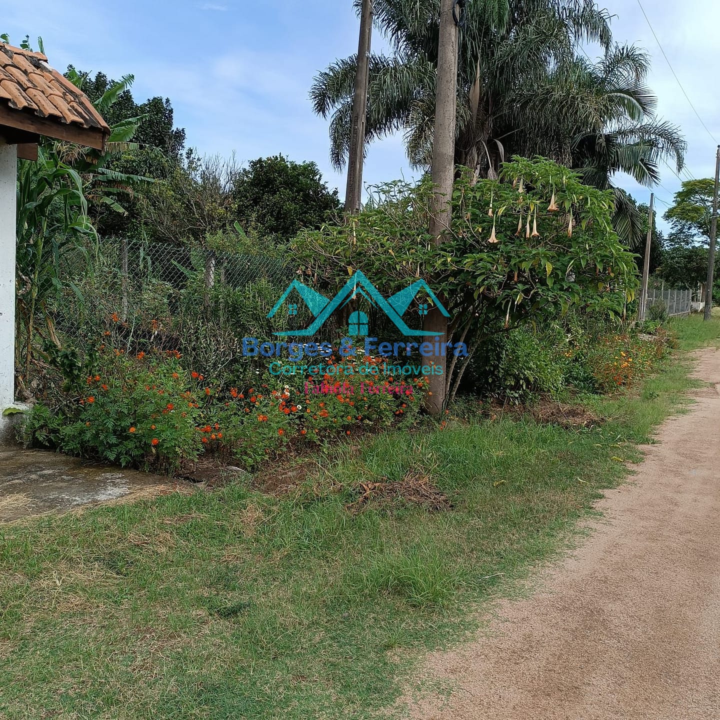 Chácara, 4 quartos, 1500 m² - Foto 48