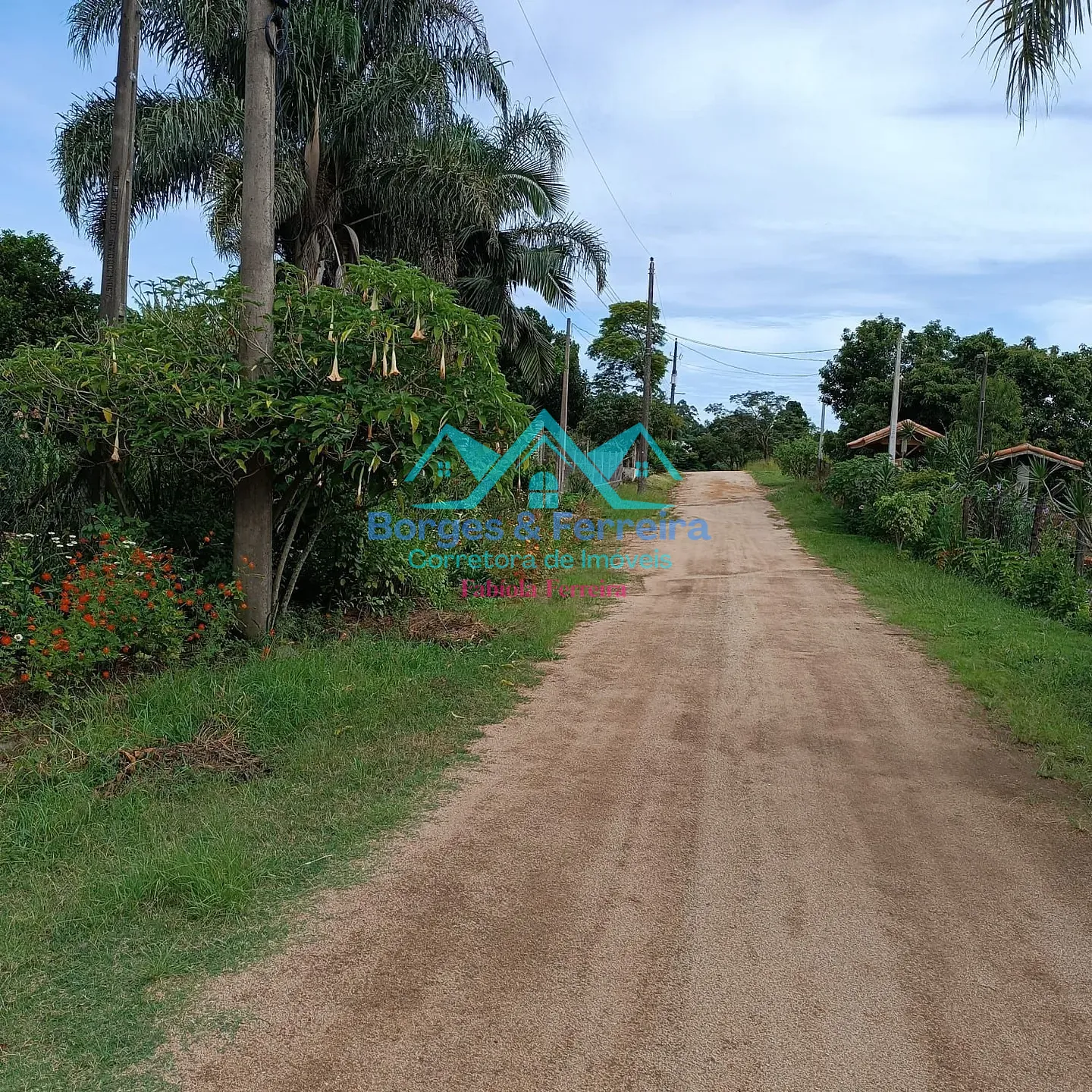 Chácara, 4 quartos, 1500 m² - Foto 45