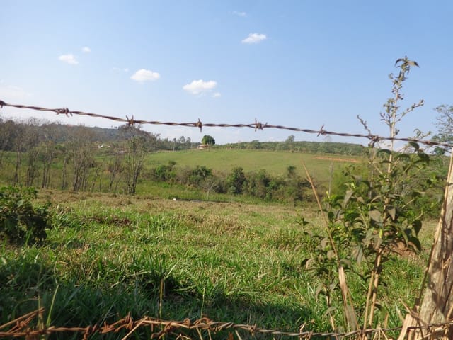 Foto do Chácara - CHACARA para Venda
PINHEIROS, GUAXUPE
R$ 140.000,00 | Guaxupé Imóveis Ltda