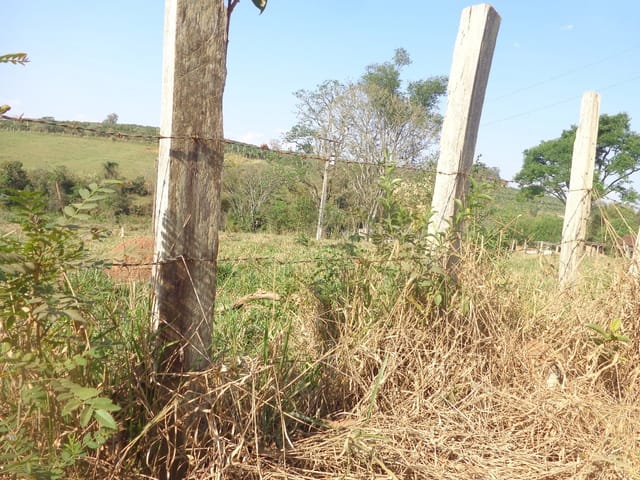 Foto do Chácara - CHACARA para Venda
PINHEIROS, GUAXUPE
R$ 140.000,00 | Guaxupé Imóveis Ltda