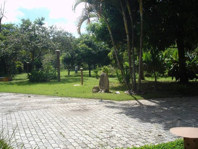 Foto do Chácara - Chácara com 3 dormitórios à venda, 10000 m² por R$ 1.400.000,00 - Urbanova - São José dos Campos/SP | INDEPENDENCE NEGOCIOS IMOBILIARIOS LTDA