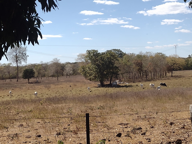 Foto do Chácara - Chácara à venda 3 Quartos, Centro, Jangada - MT | Josélia Cáceres Martins
