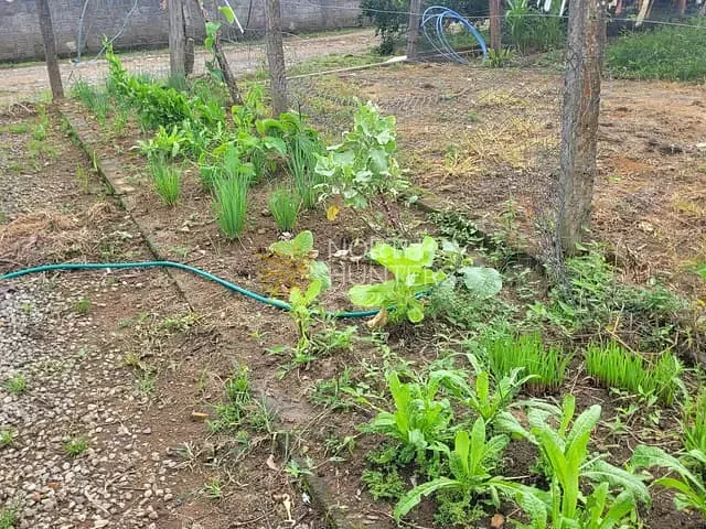 Chácara com 250m² 3 quartos e 3 banheiros, à venda, no bairro Bom Viver em Garuva