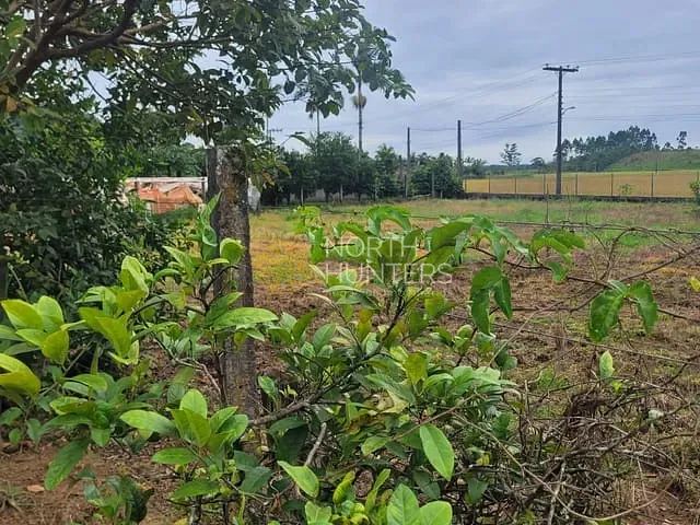 Chácara com 250m² 3 quartos e 3 banheiros, à venda, no bairro Bom Viver em Garuva