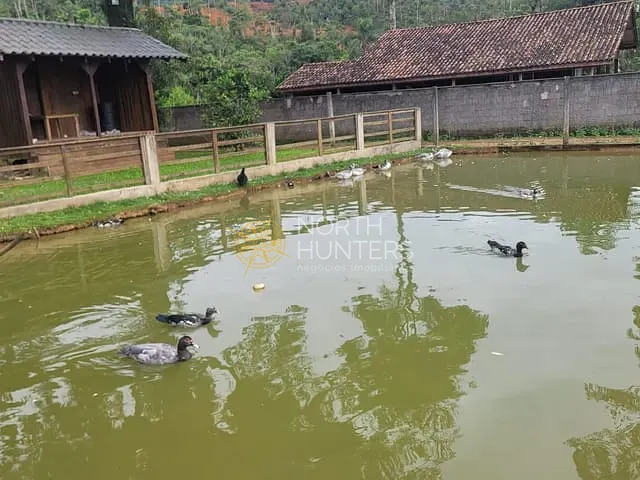 Chácara com 250m² 3 quartos e 3 banheiros, à venda, no bairro Bom Viver em Garuva