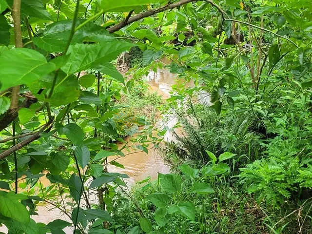 Chácara com 250m² 3 quartos e 3 banheiros, à venda, no bairro Bom Viver em Garuva