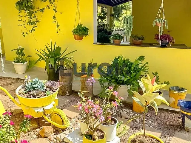 Chácara com 5000m² 3 quartos e 3 banheiros, à venda, no bairro Morro das Pedras em Valinhos