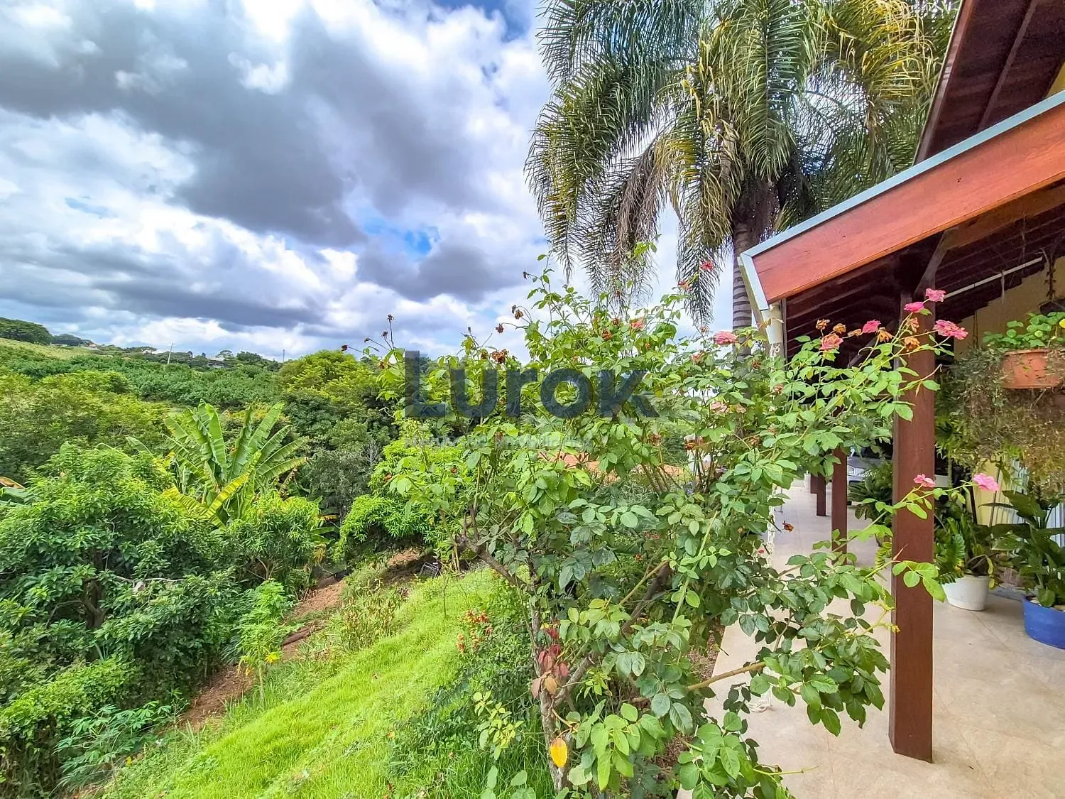 Chácara, 3 quartos, 5000 m² - Foto 5
