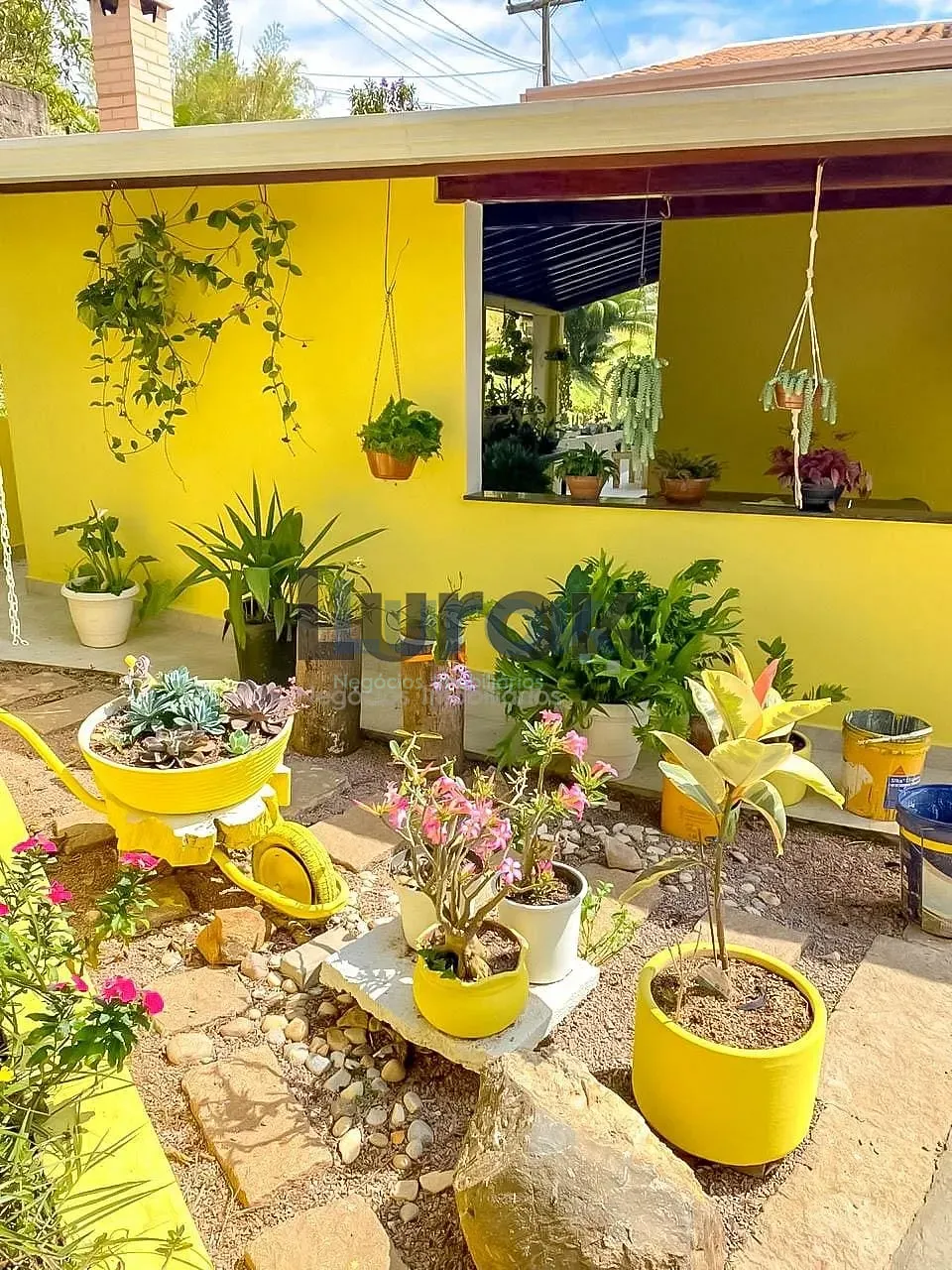 Chácara, 3 quartos, 5000 m² - Foto 2