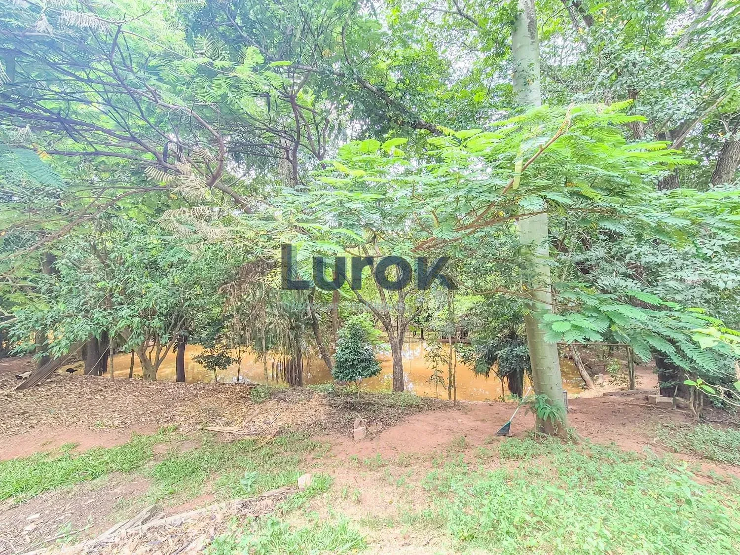 Chácara, 3 quartos, 5000 m² - Foto 37