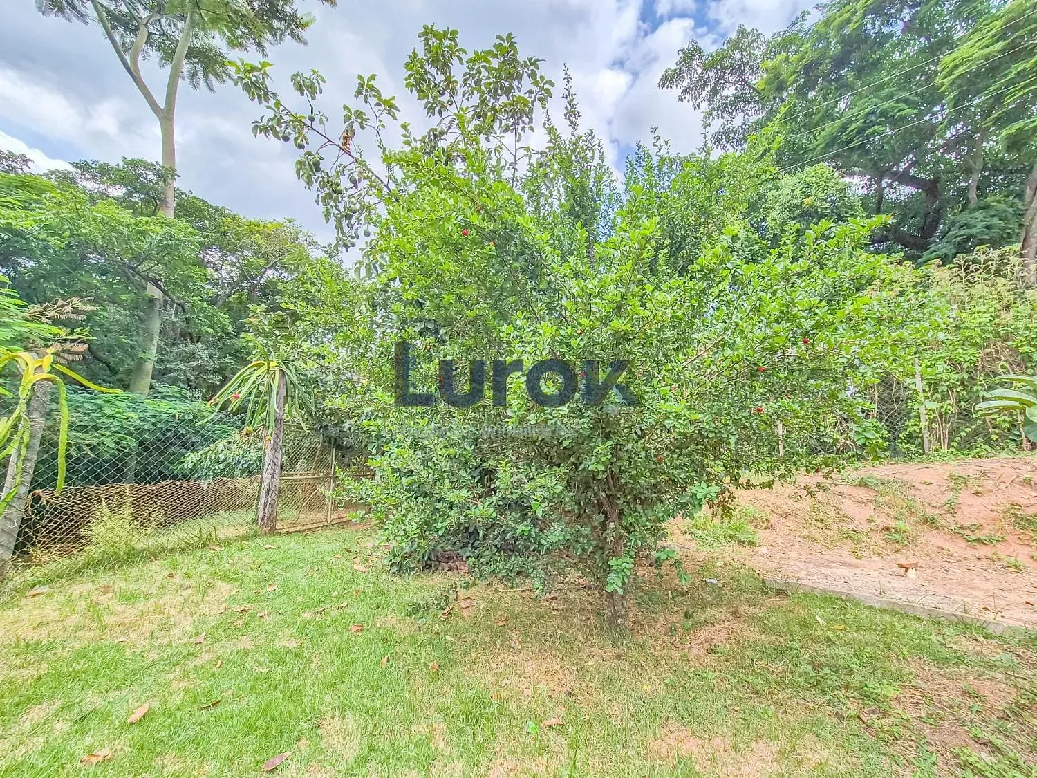 Chácara, 3 quartos, 5000 m² - Foto 29