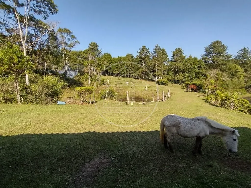 Sítio, 15 quartos, 3 hectares - Foto 15