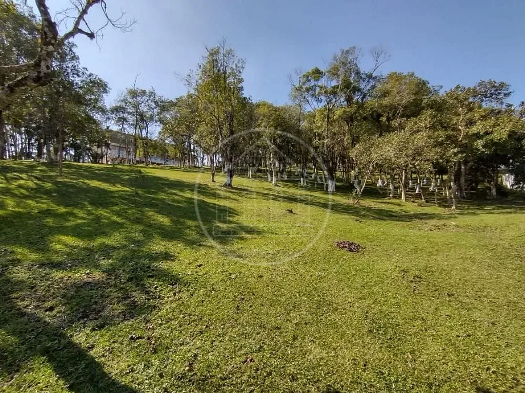 Sítio, 15 quartos, 3 hectares - Foto 13