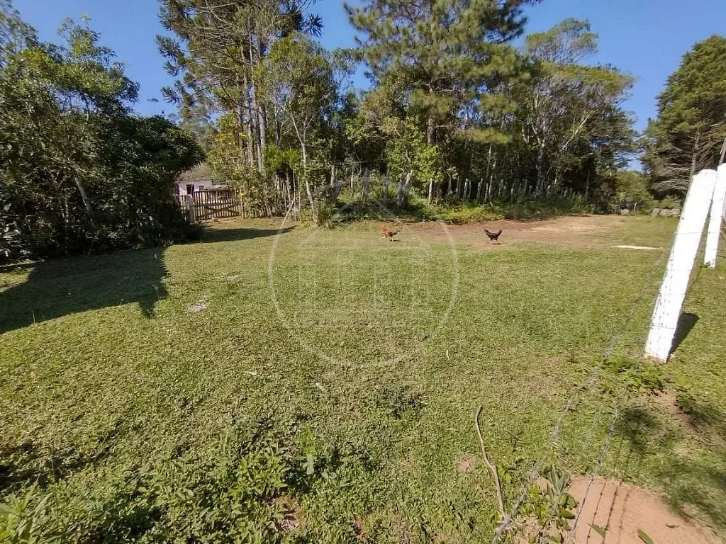 Sítio, 15 quartos, 3 hectares - Foto 16
