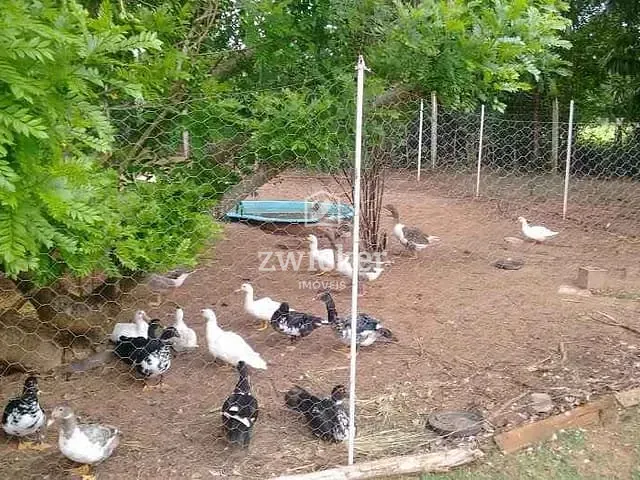 Chácara com 4800m² 3 quartos e 2 banheiros, à venda, no bairro Rio Verde em Bauru