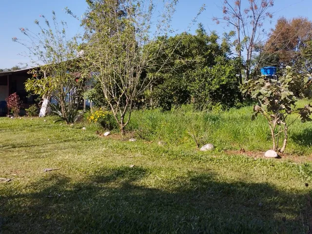 Foto do Chácara - Chácara à venda, Linha Floresta, Três Passos, RS | Executivo Imóveis